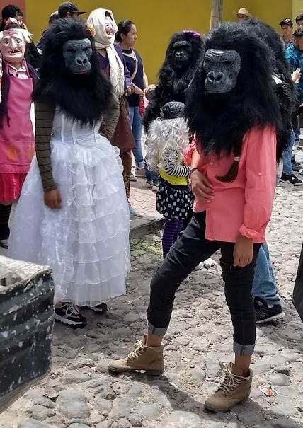 apes