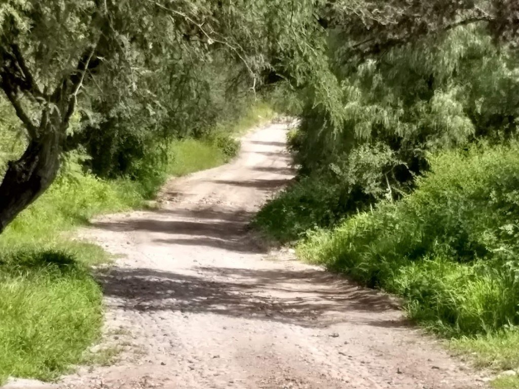 silver-route