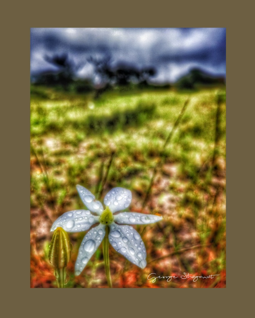 CollageMaker_20210913_090919908-510