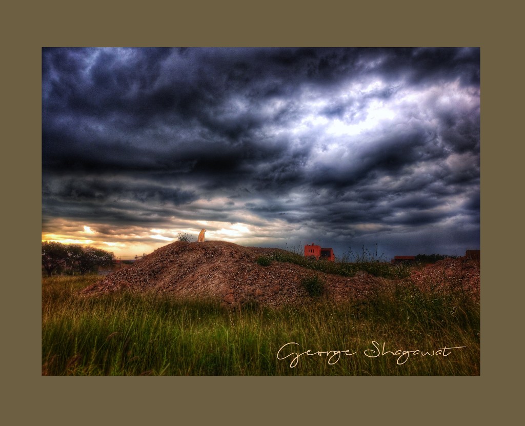 IMG_20210910_163744-509