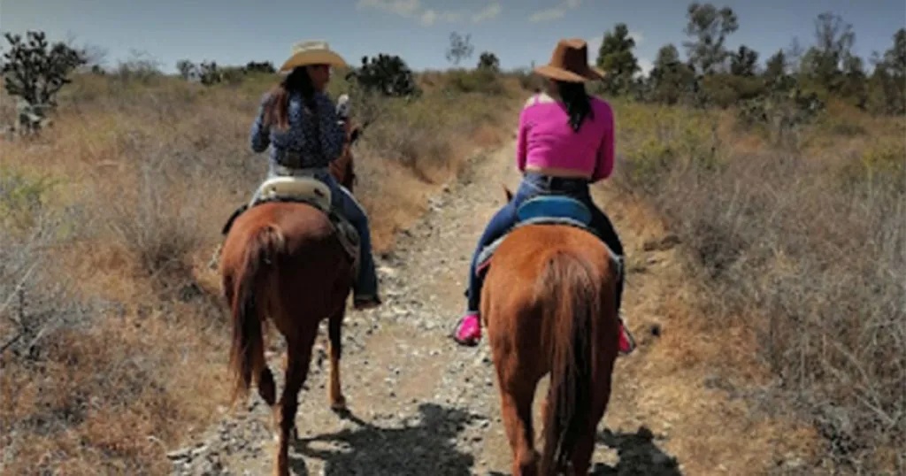 No plans for the weekend? You could visit the zip lines in San Miguel ...