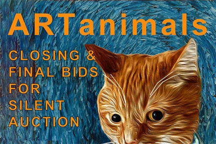 artanimals artanimals