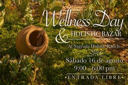 wellness