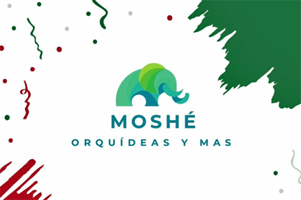 moshe-logo