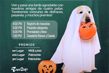 mascoy mascoy