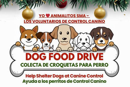 dog food