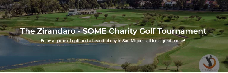 Website Banner w text 768x247