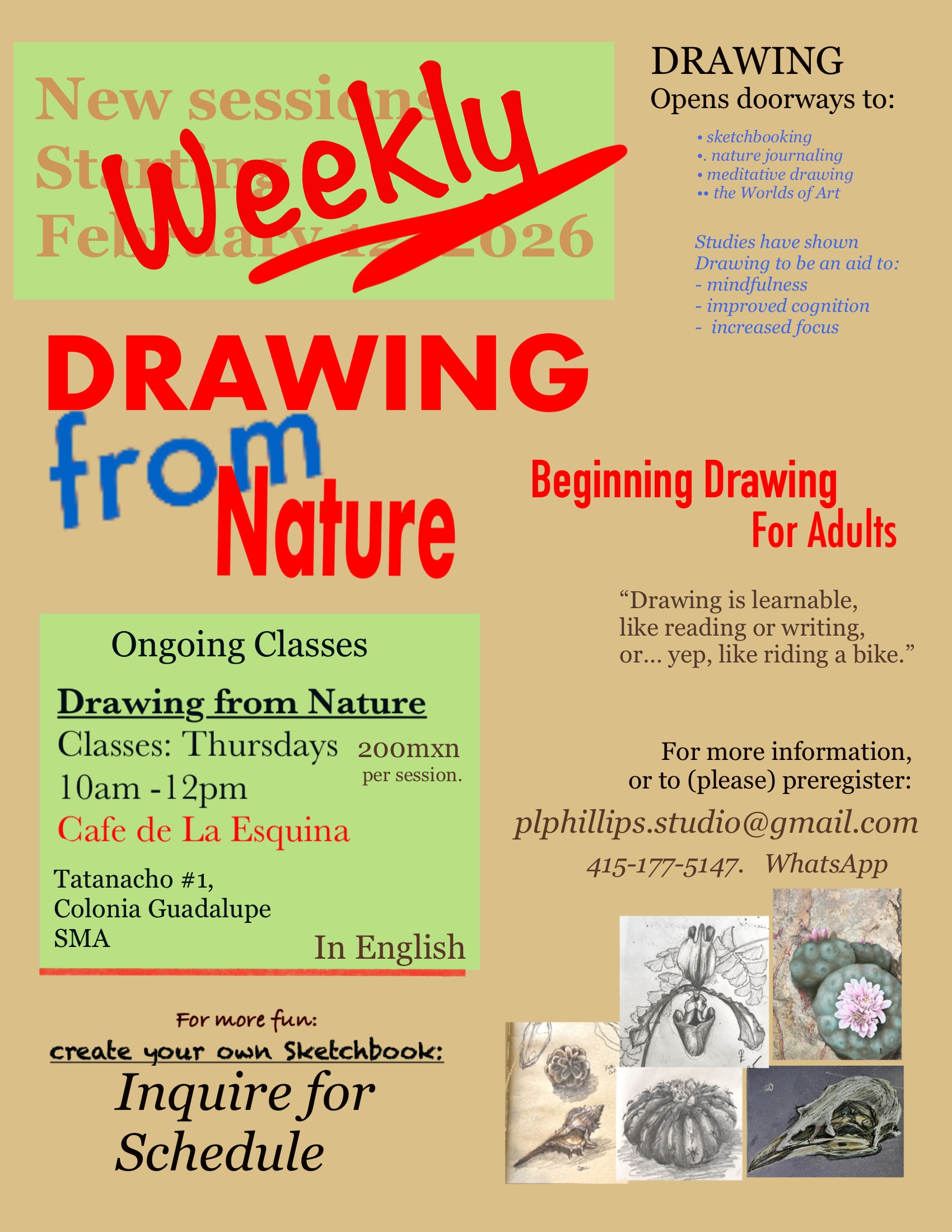 Weekly Draw Flyer 2026