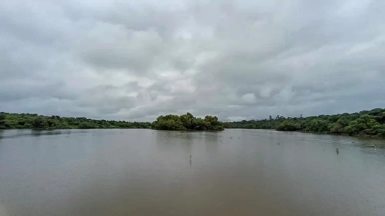 charco 2 768x432