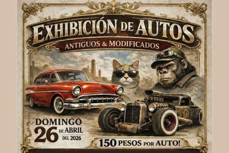 auto show 768x512