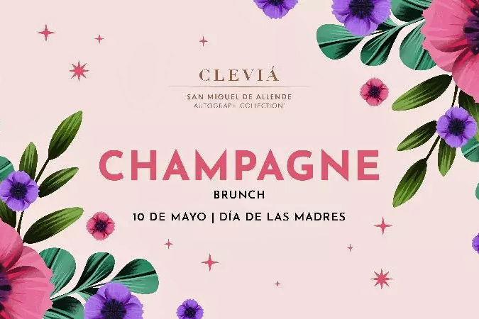 clevia
