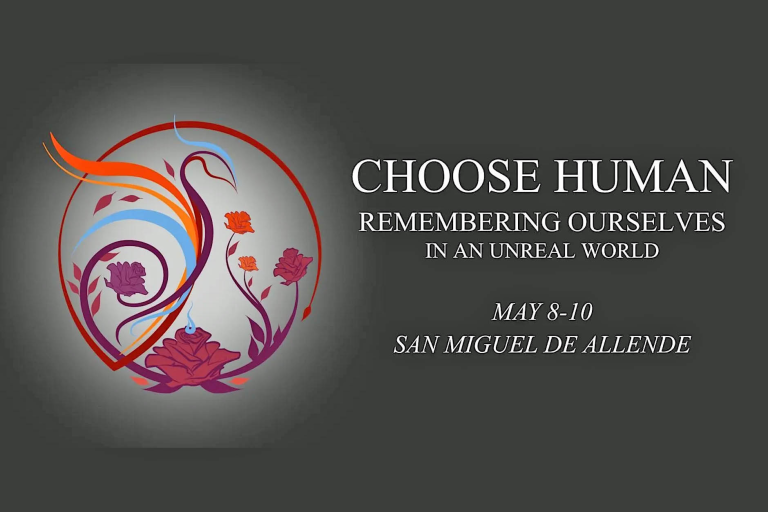human 768x512