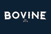 bovine