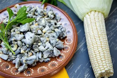 cuitlacoche