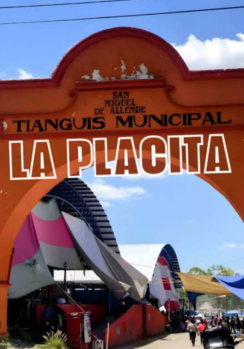 placita 1