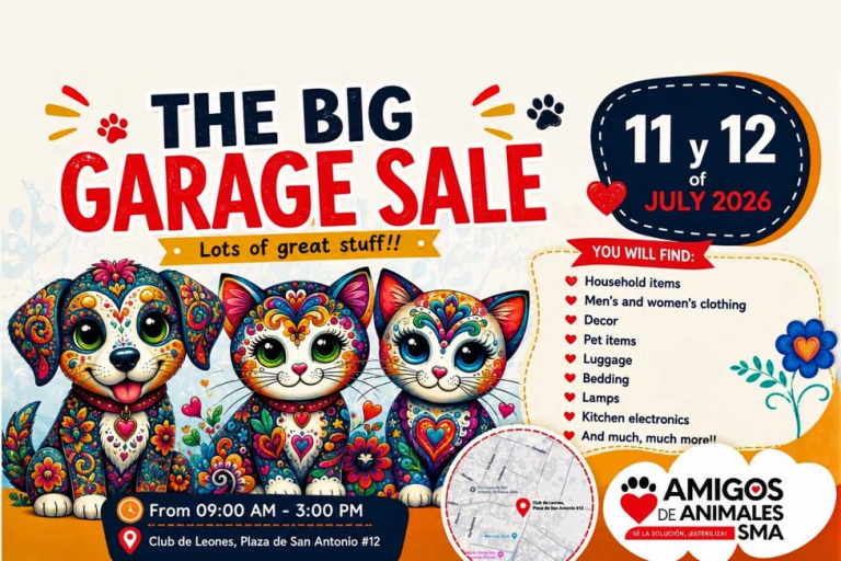 animales sale 768x512