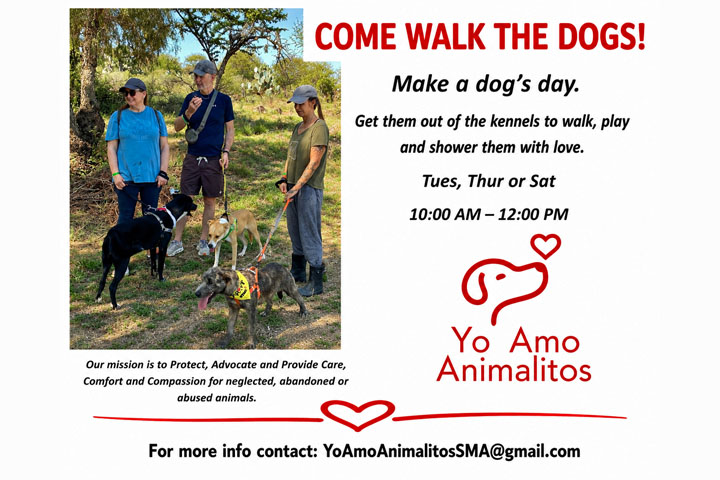 walkdogs