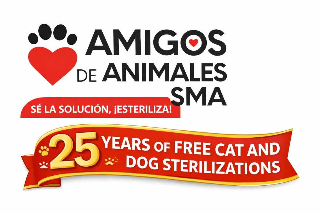 amigos animales 25