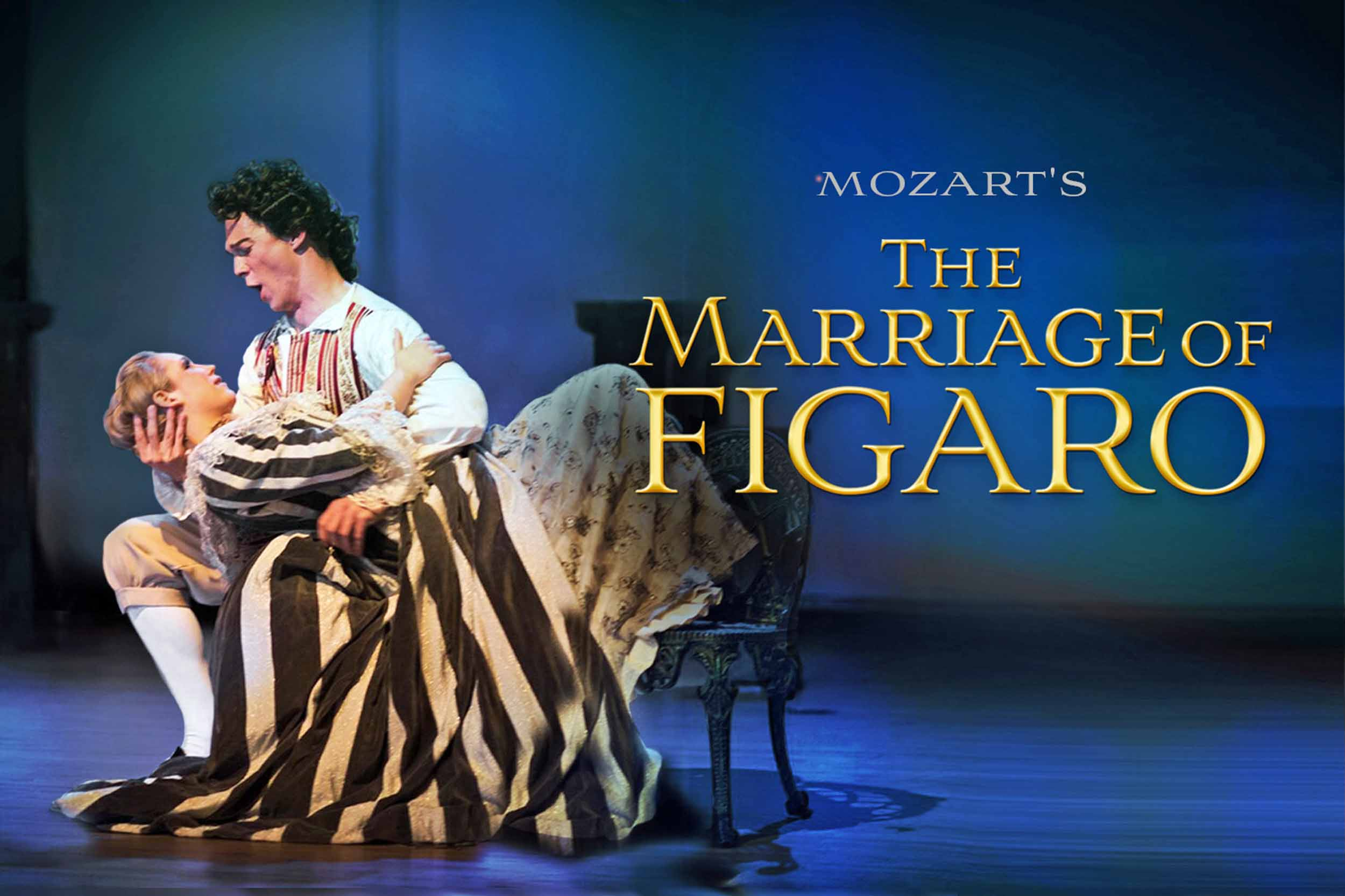 figaro small