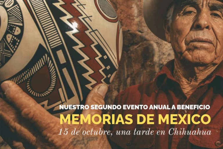 arte fund1 768x512