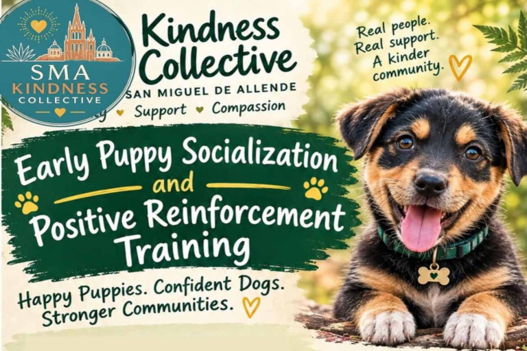kindness puppies 768x512