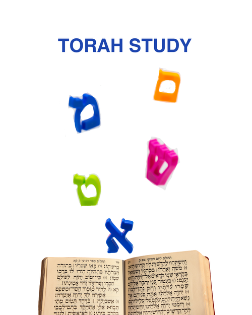 TORAHSTUDY